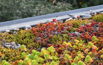 the cost of Cold Hesledon green roof installation