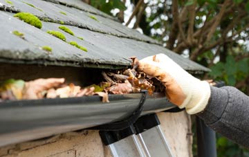 gutter cleaning Cold Hesledon, County Durham
