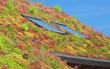 Cold Hesledon living roof systems