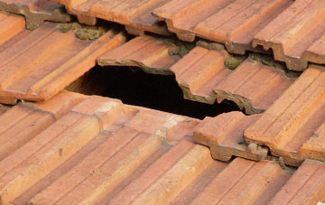 roof repair Cold Hesledon, County Durham