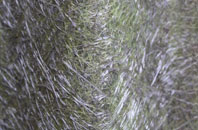 Cold Hesledon fibreglass roof work